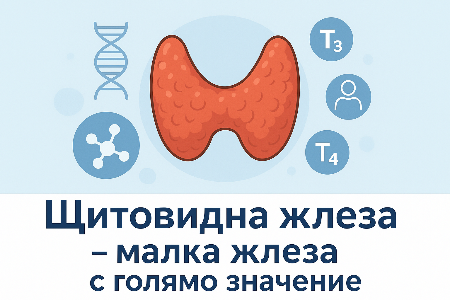 Щитовидна жлеза – малка жлеза с голямо значение